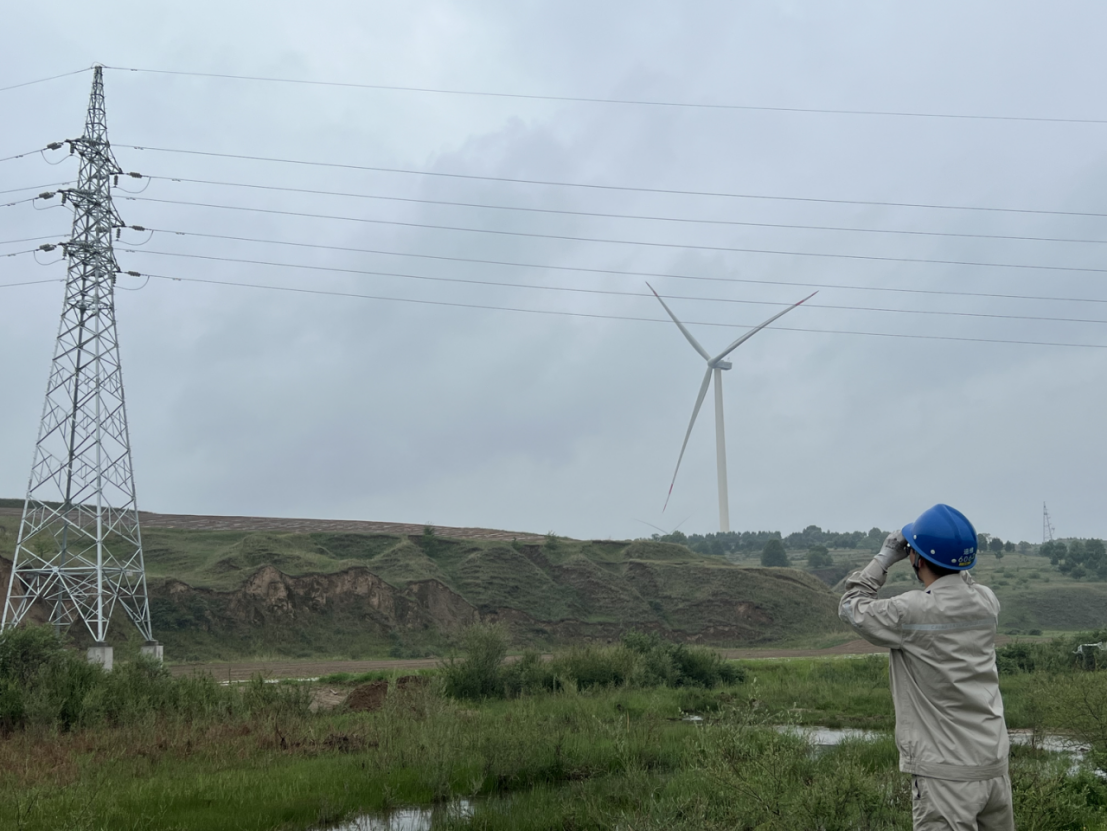 1717725275202060252.jpg 222.jpg