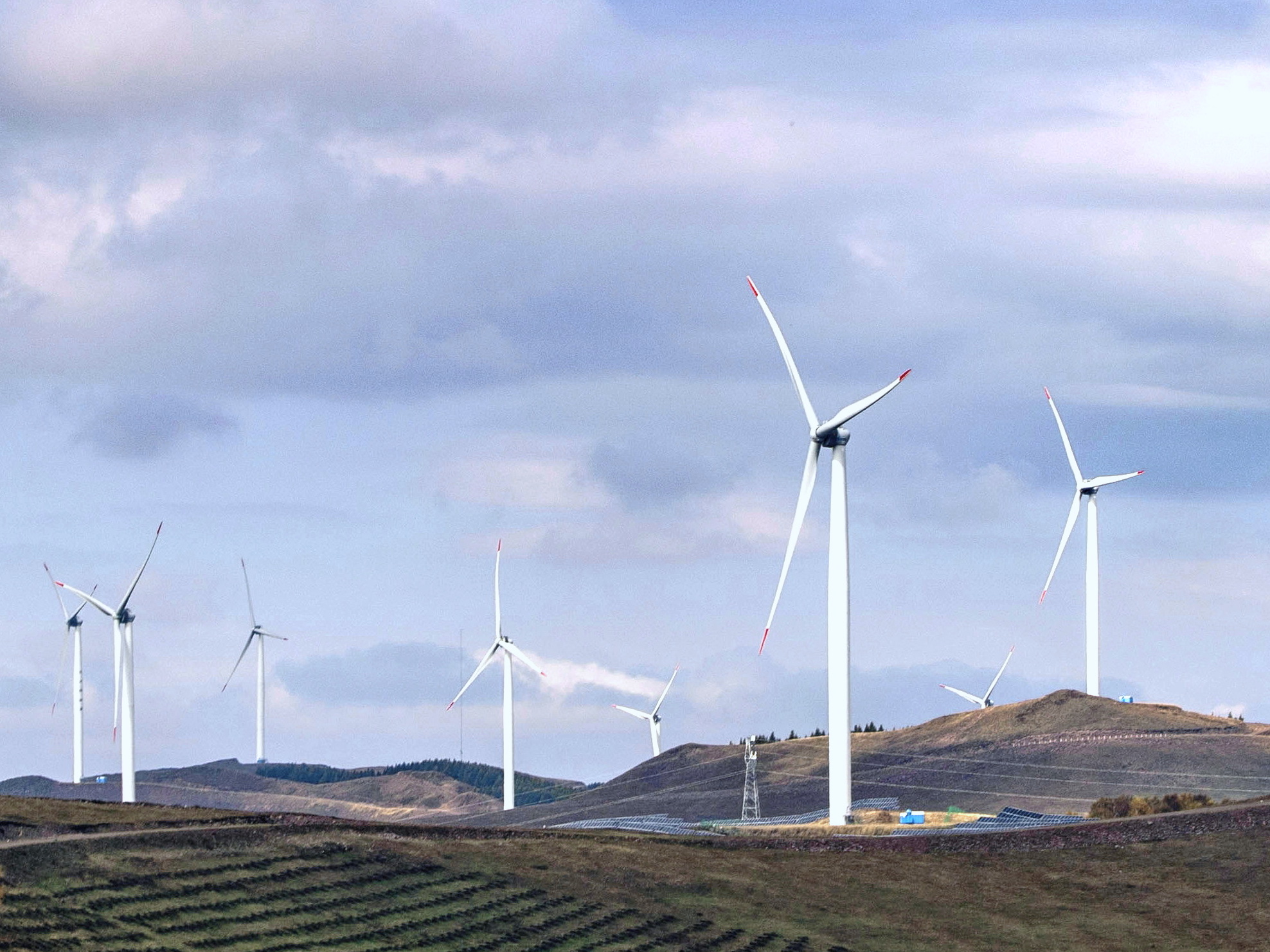 1718691670561000998.jpg 2cd780717380fc719df81a4412e9fd7.jpg