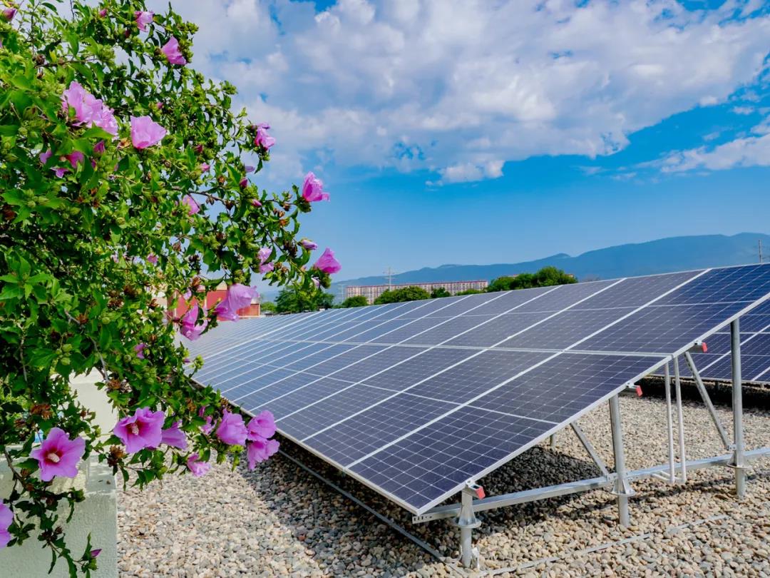 1727572156240094439.jpg 0004.jpg