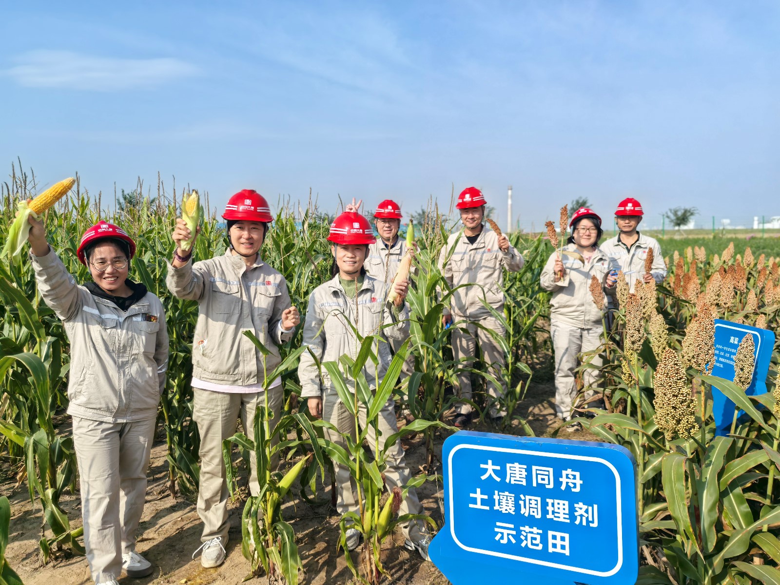 我們的示范田豐收啦  (1).jpg