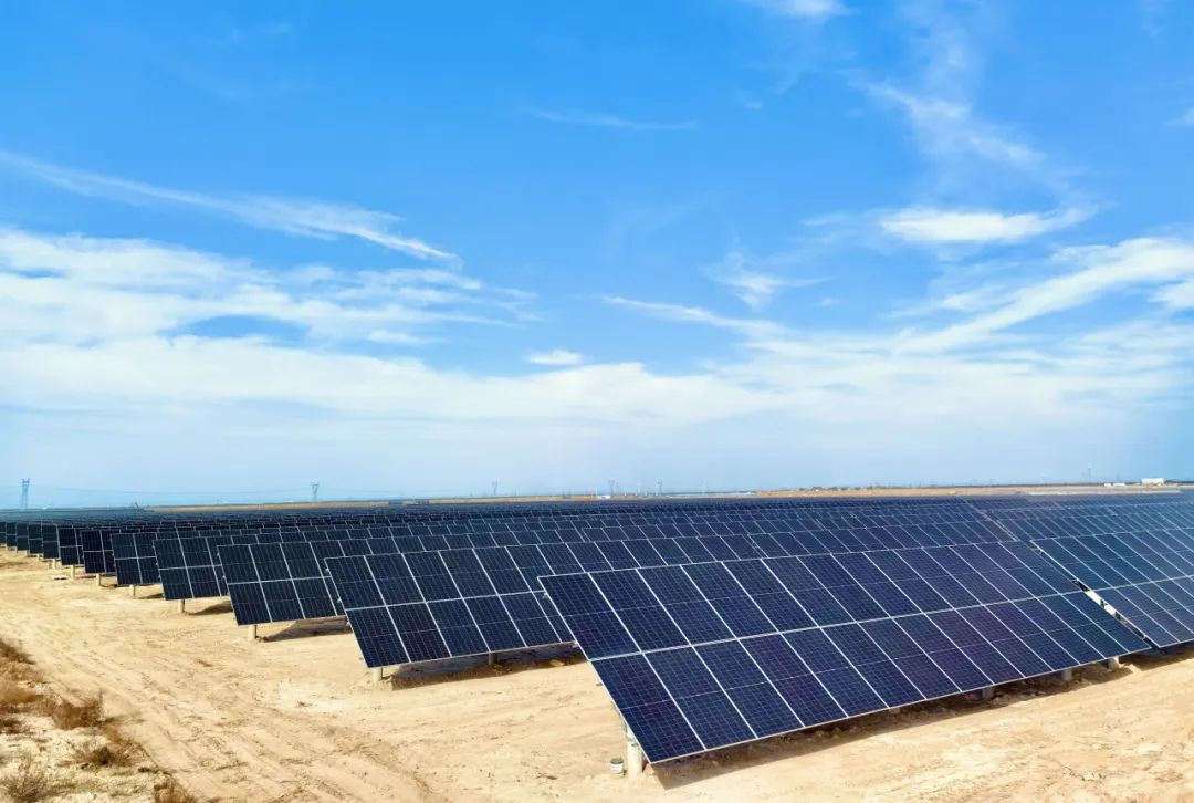 1728893881850074703.png 640.webp (1).png