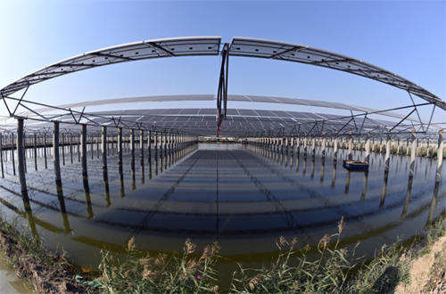 1729151472173060190.png 9a4ddc0cba654159acaacd4f3ceb6878.png