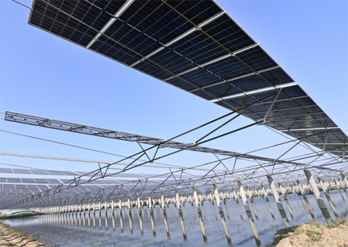 1729151509925010116.png a8e2e41605f04e73905ccb98fd863e46.png