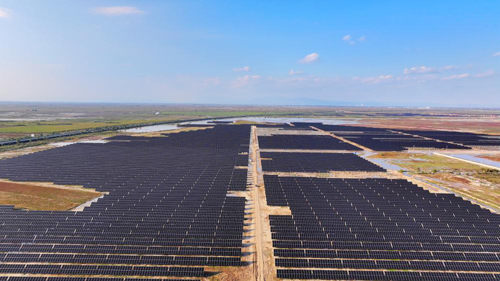 1731634193316076975.jpg 1731291435824034188.jpg