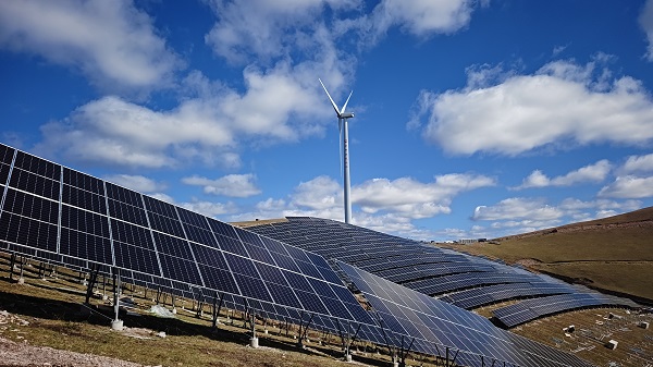 1733387229816091658.jpg 圖一.jpg